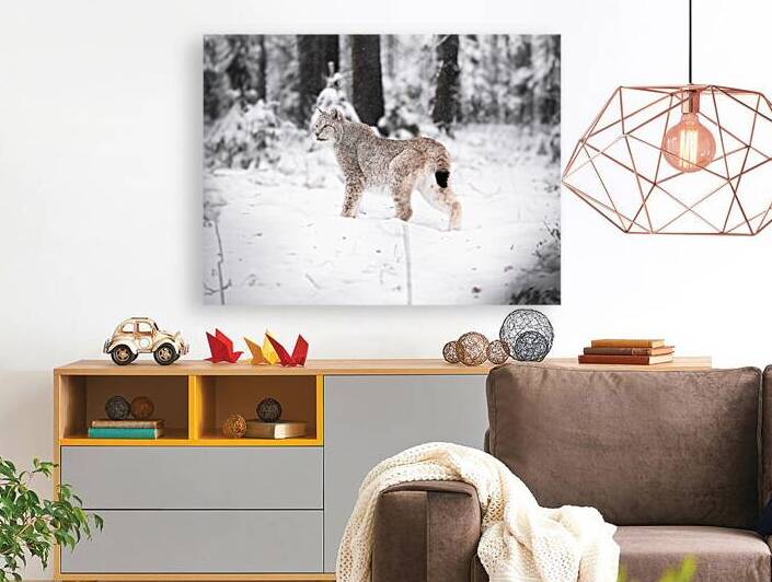 DSC 3176 Verbessert NR by Larsphotografie