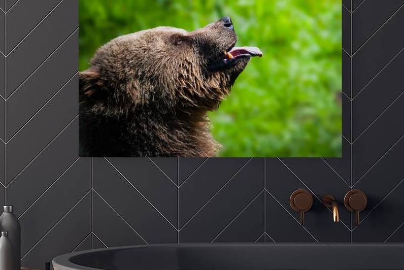 DSC 1343 Verbessert SR by Larsphotografie