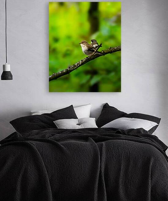 DSC 0761 Verbessert SR by Larsphotografie