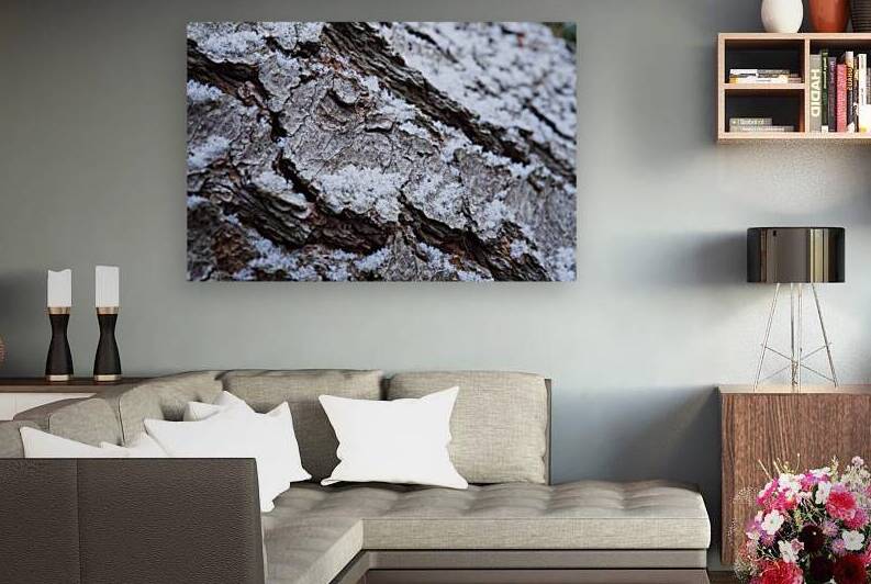 Old Pine Tree Bark with Snow III by Iris H Richardson