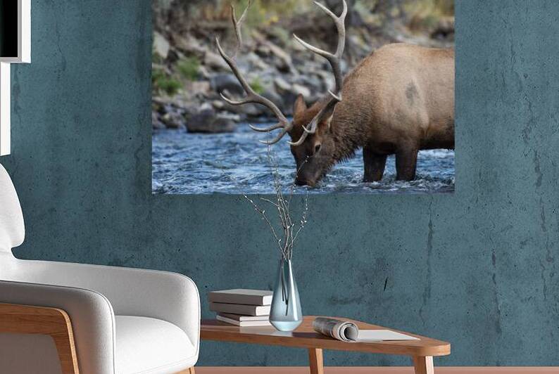  Thats Refreshing by Gary M Slane