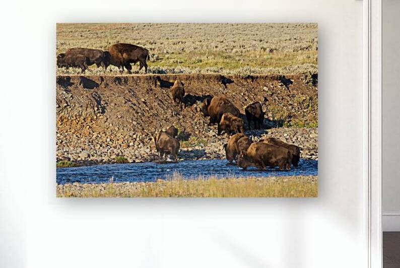 Crossing the Lamar River by Gary M Slane