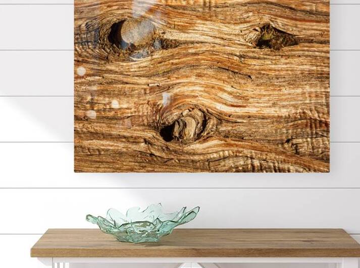 Background close up of cedar trunk bark by Steve Heap