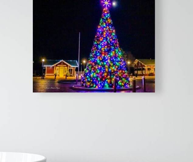 Christmas In The Valley 2-Tree by Susan Diann Photography