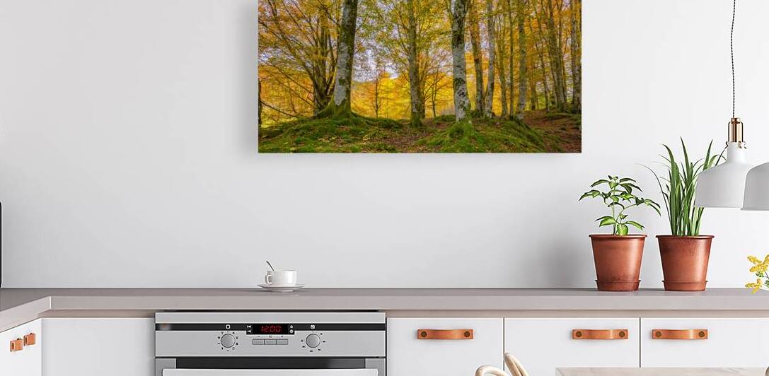 Autumn in The Forest by Eirik Sorstrommen