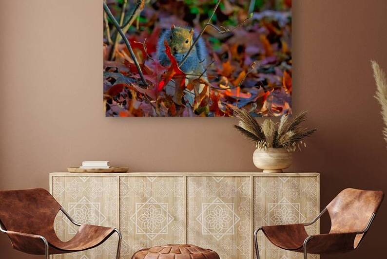 Autumn Squirrel by ISABELLA SMEDLEY