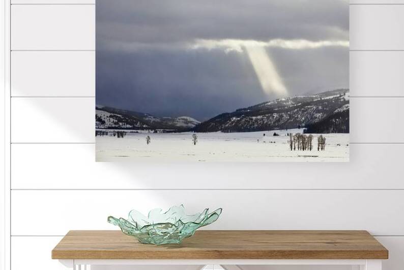 Sunbeam in Lamar by ISABELLA SMEDLEY