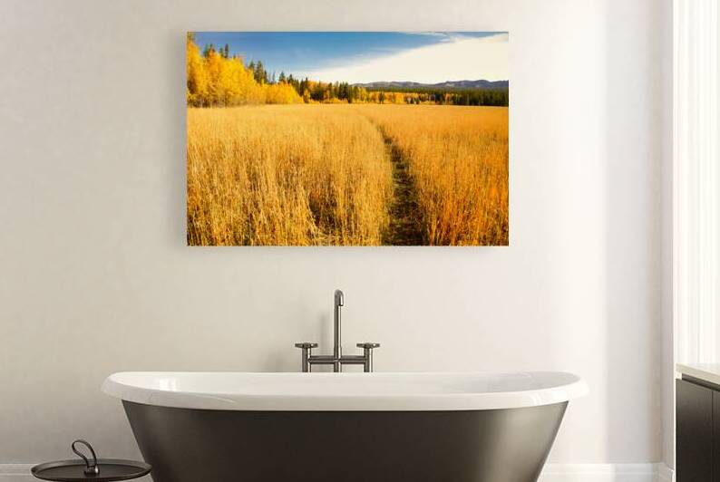 YELLOWSTONE AUTUMN by ISABELLA SMEDLEY