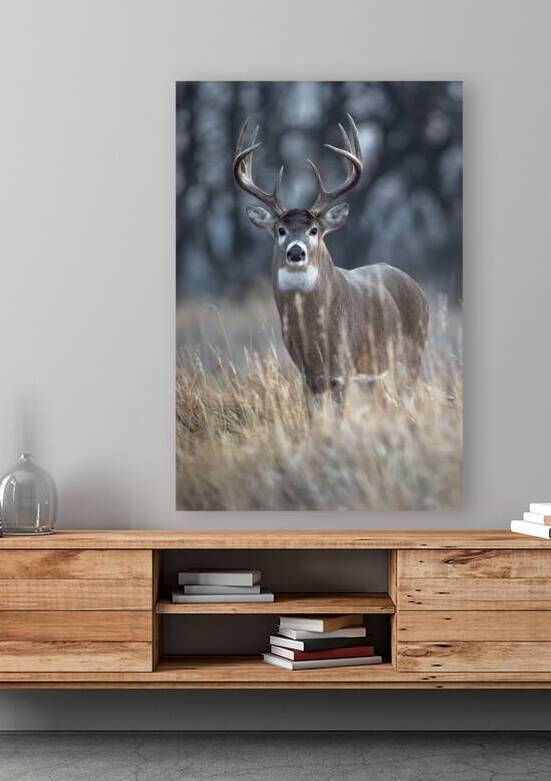 A Buck Ten by Kevin Smith