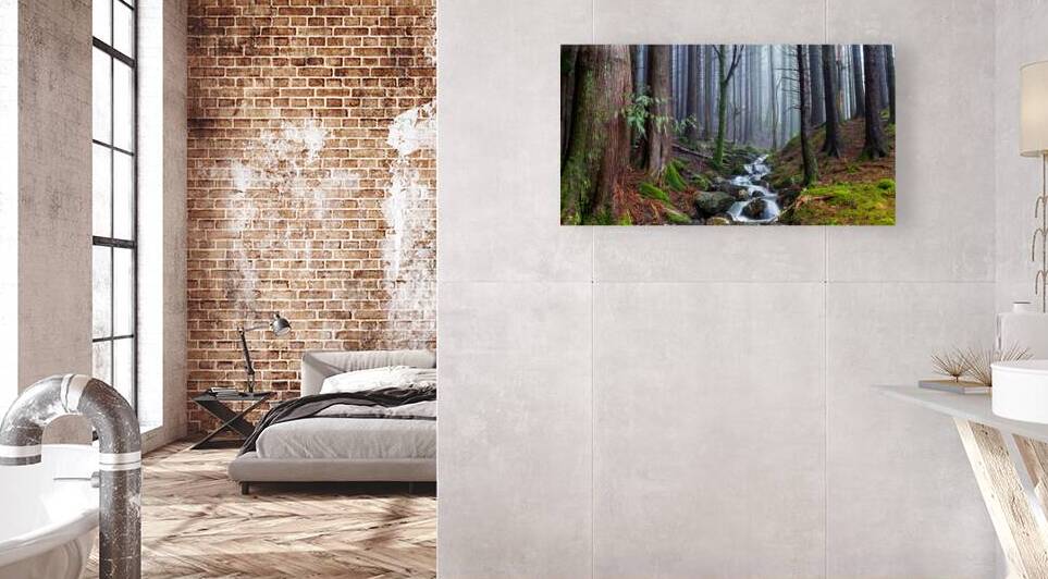 Misty Forest Stream by Eirik Sorstrommen