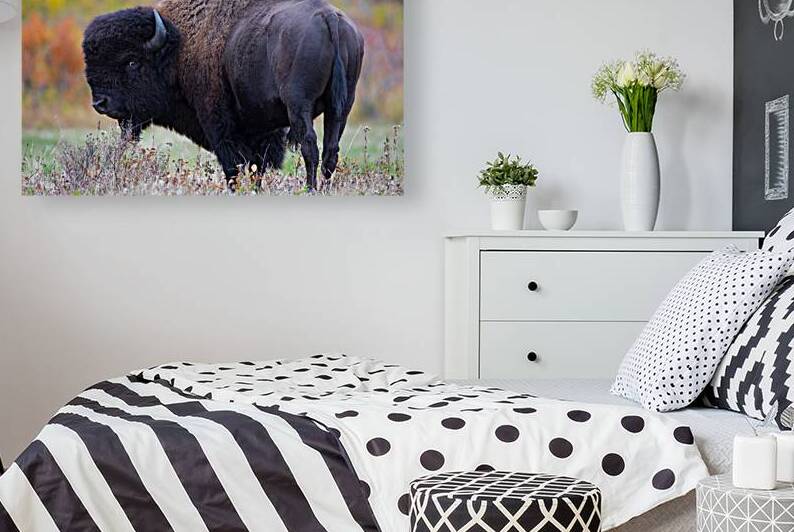 Ive Been Had by Kevin Smith