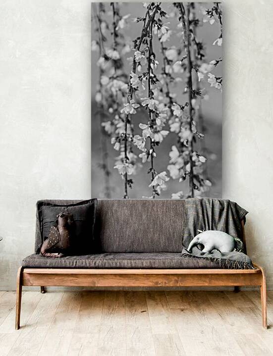 Abstract of Weeping Cherry Blooms Grayscale by Jennifer White