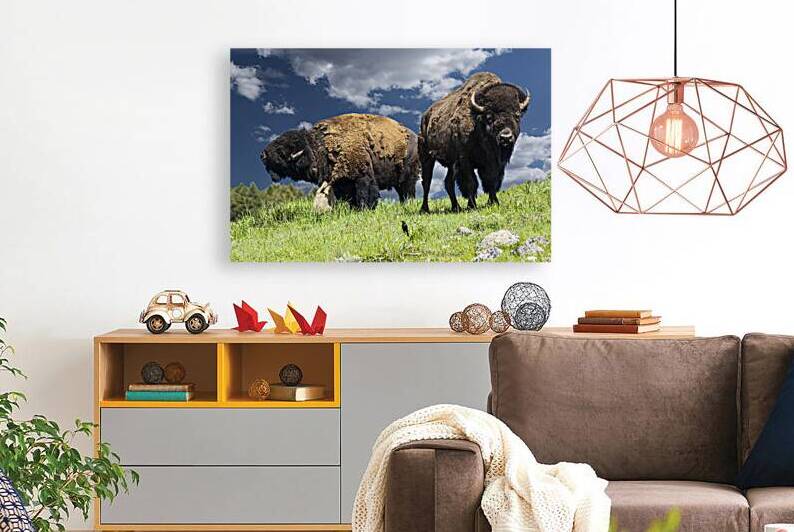 Scratch That Itch by Gary M Slane