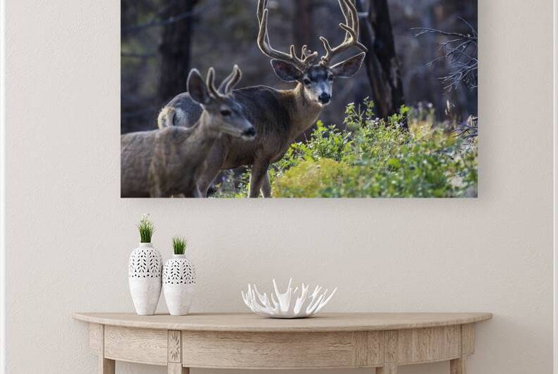 Head Gear by Gary M Slane