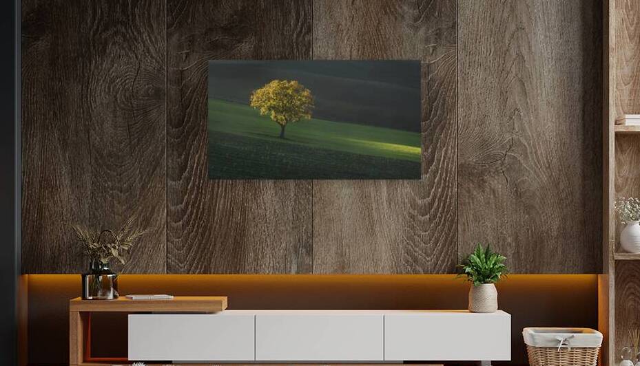 Beautiful sunset light on a lonely tree in Tuscany by Stefano Orazzini