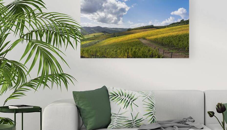 Radda in Chianti landscape vineyards in autumn. Tuscany Italy by Stefano Orazzini