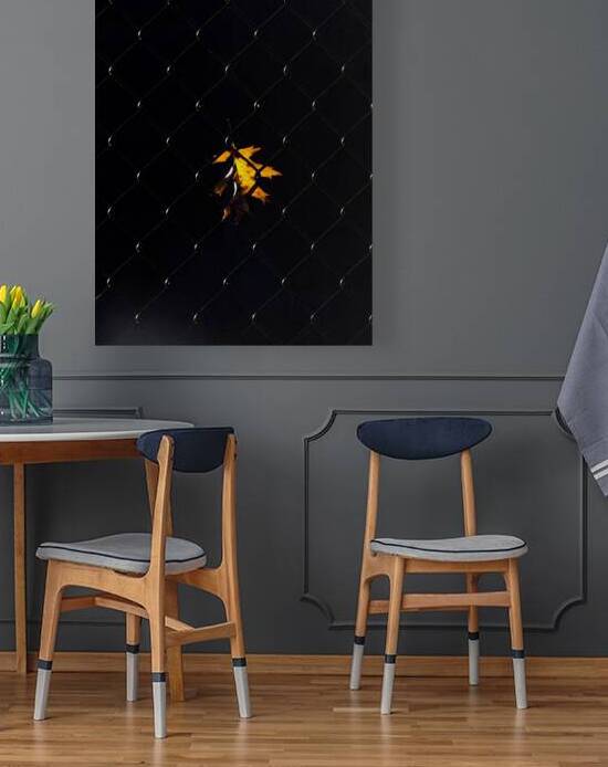 MIS 01017 by John Walborn Promenade Photos