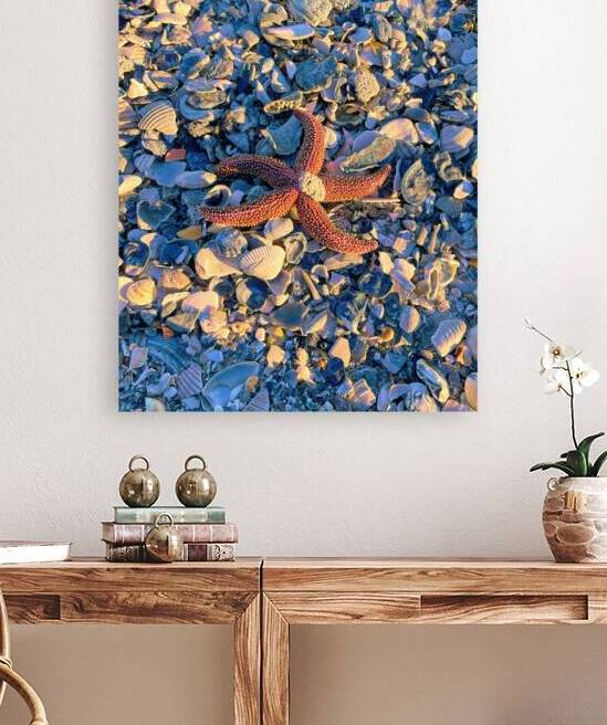 Starfish Among The Shells by Bill Swartwout Photography