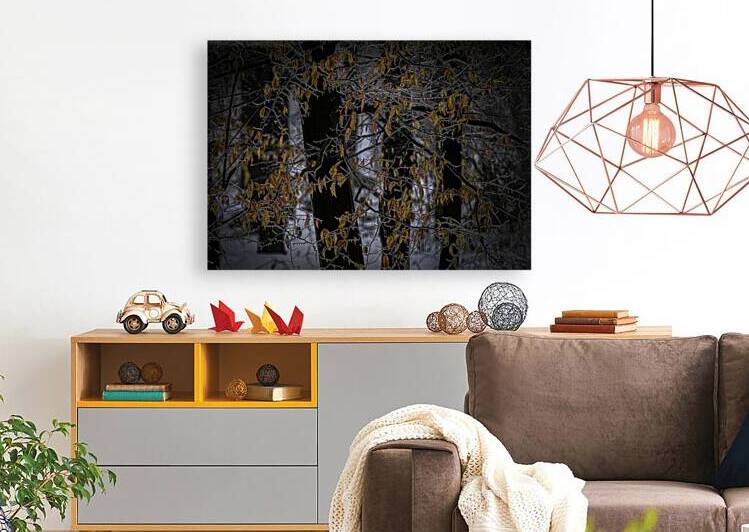 MIS 01121 by John Walborn Promenade Photos