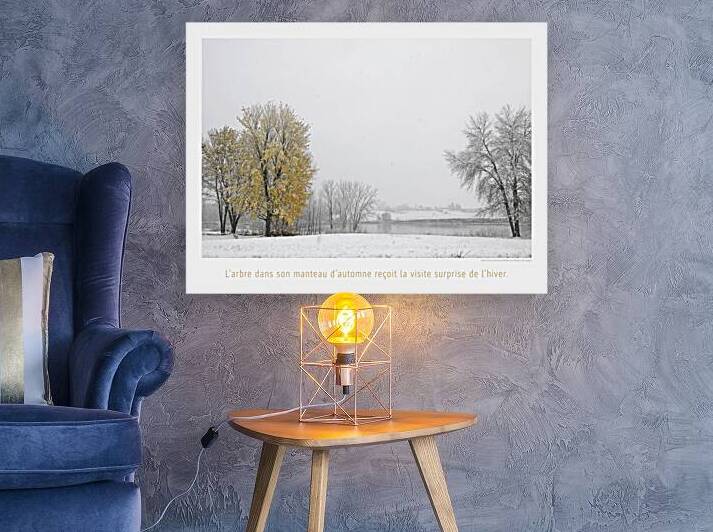 FRISSON DE SAISON by Francis Pelletier