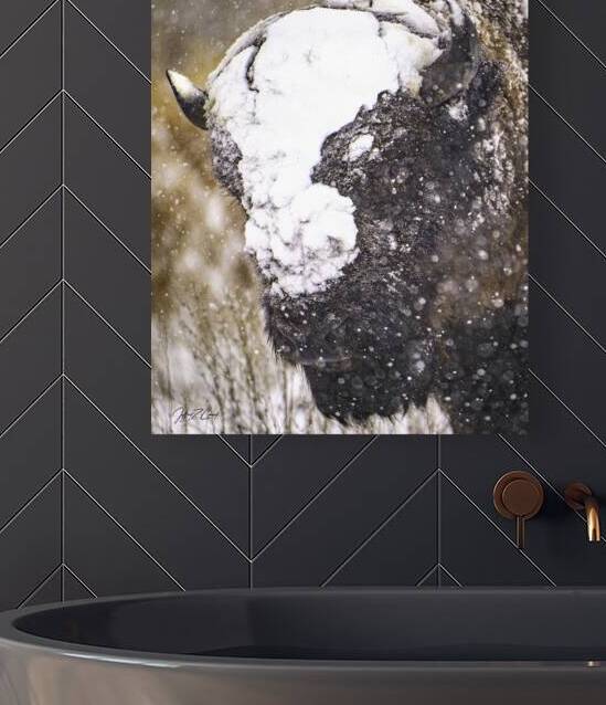 LONE BISON BLIZZARD by Carney Photography