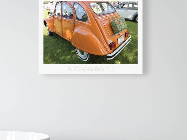 AUTO PORTRAIT 3 by Francis Pelletier