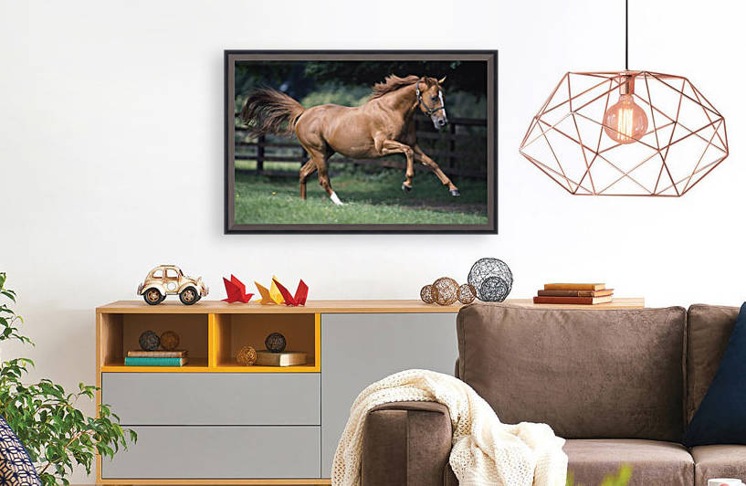 Galloping Thoroughbred Horse by PacificStock