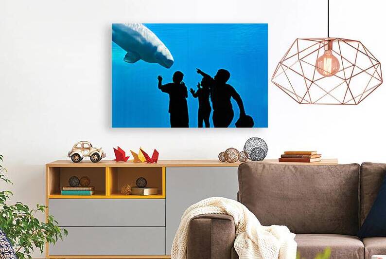 Young Curiosity by Ryan Cameron