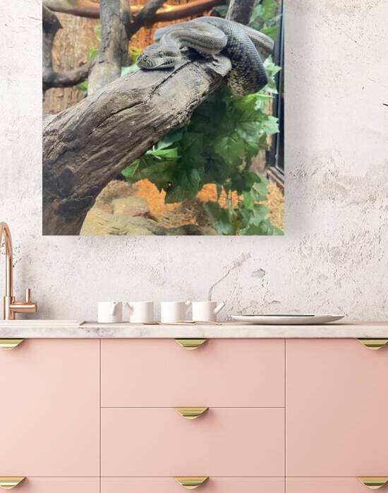 IMG 8038 by Bill Swartwout Photography