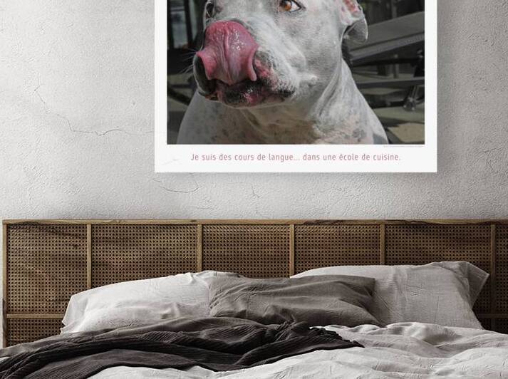 CORDON ROUGE by Francis Pelletier