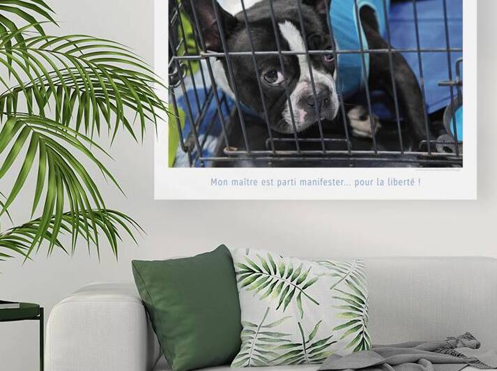 CACHOT by Francis Pelletier