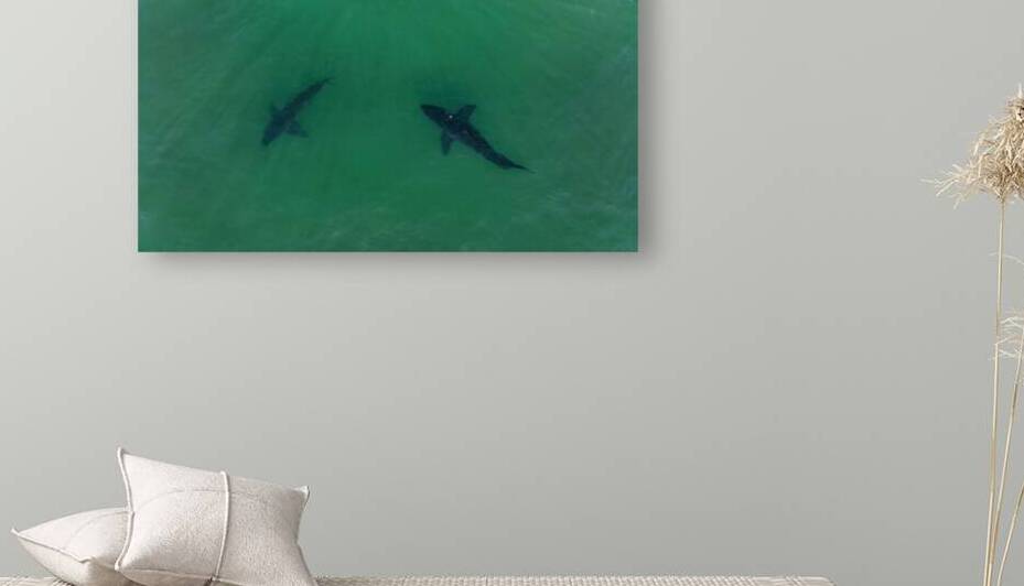 DJI 0187 gigapixel art scale 2 00x by dronesey