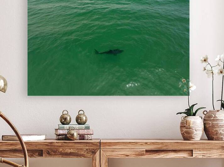 DJI 0400 gigapixel art scale 2 00x by dronesey