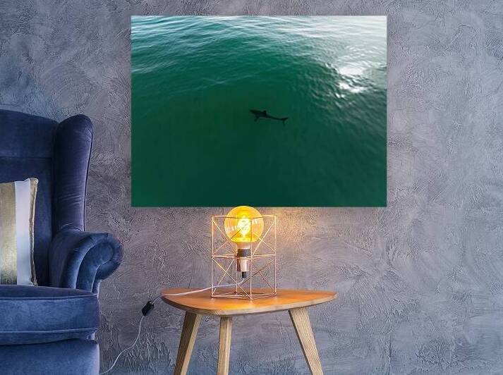 DJI 0910 gigapixel art scale 2 00x by dronesey