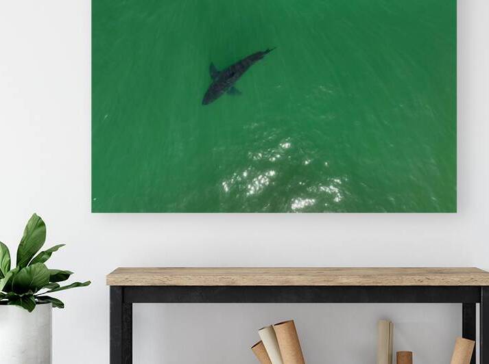 DJI 0201 gigapixel art scale 2 00x by dronesey