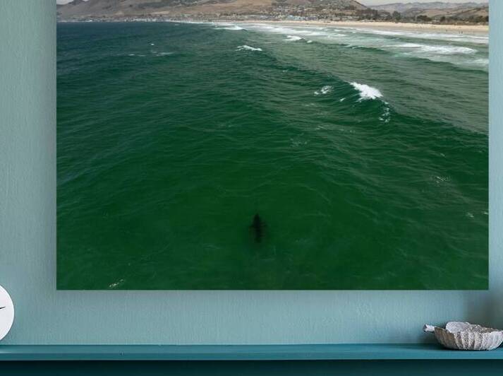 DJI 0351 gigapixel art scale 2 00x by dronesey