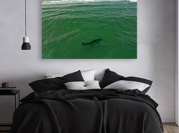 DJI 0410 gigapixel art scale 2 00x by dronesey