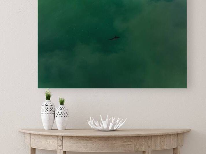 DJI 0869 gigapixel art scale 2 00x by dronesey