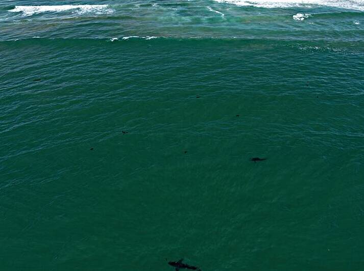 DJI 0234 gigapixel art scale 2 00x by dronesey