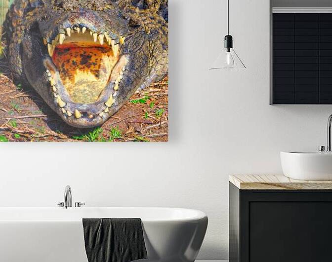 Nile Crocodile Dental Exam by Bill Swartwout Photography