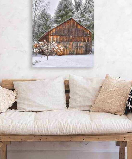 G20 Among the Pines by Kevin Savage