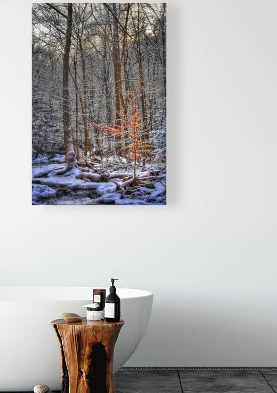 G19 Shining Light by Kevin Savage