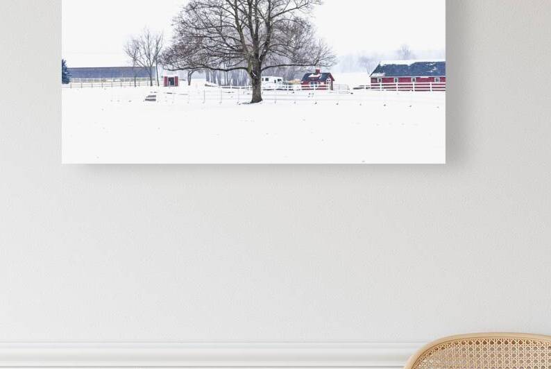 G02 Snow Day on the Farm by Kevin Savage