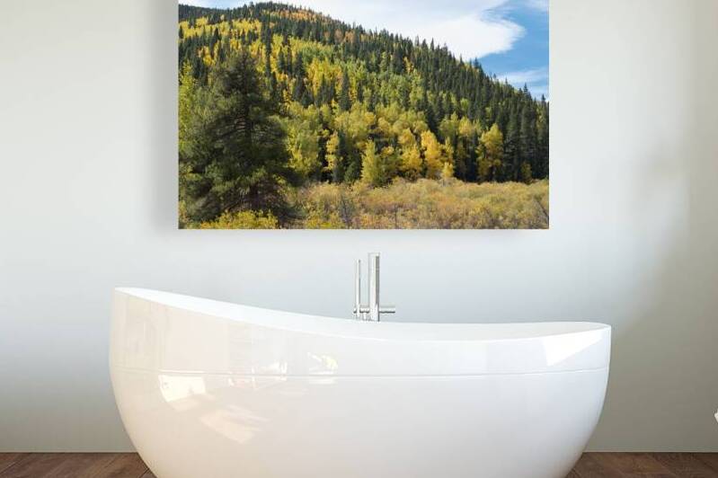 Fall Colors 3 by John Becker Photography