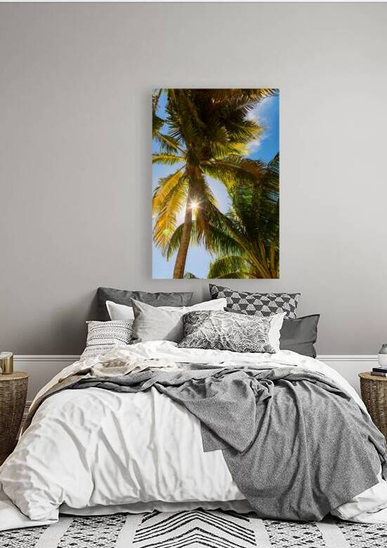 Sunshine and  Tall Palm Trees Extends Towards the Sky by Bo Insogna