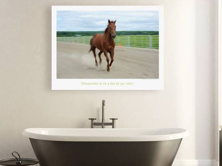 PUR SENS by Francis Pelletier