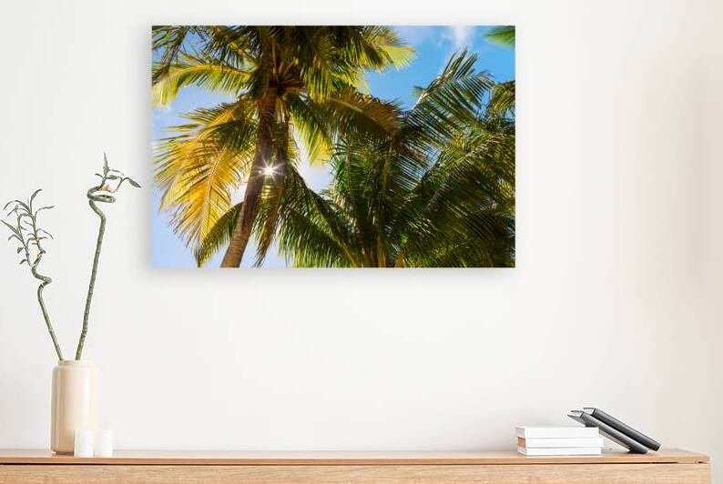 Reminiscent of a Tropical Paradise by Bo Insogna