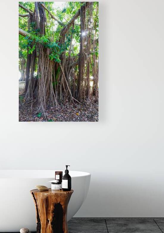 Majestic Magnificent Banyan Tree Portrait by Bo Insogna