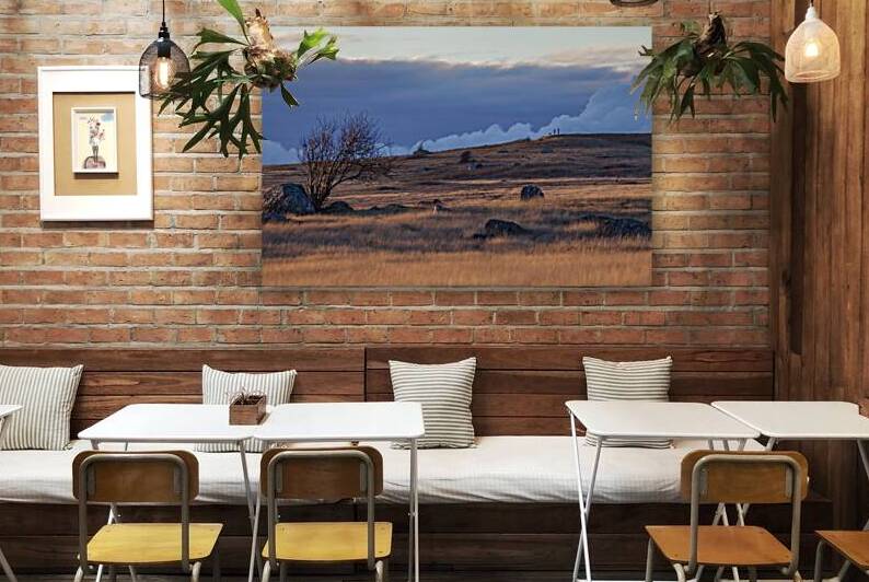 American Camp Redoubt San Juan Island National Historical Park by Lauren Pritchett Photography