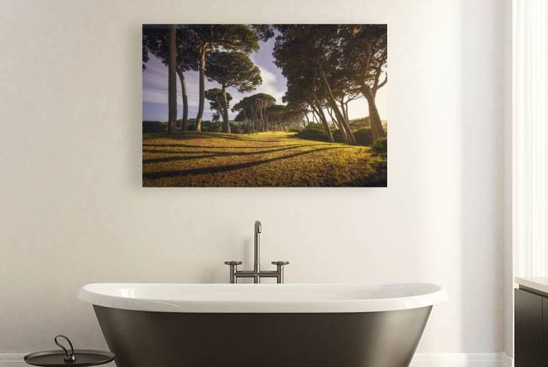 Pine trees at sunset. Baratti Piombino Tuscany Italy. by Stefano Orazzini